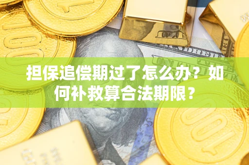 济南担保追偿期过了怎么办？如何补救算合法期限？