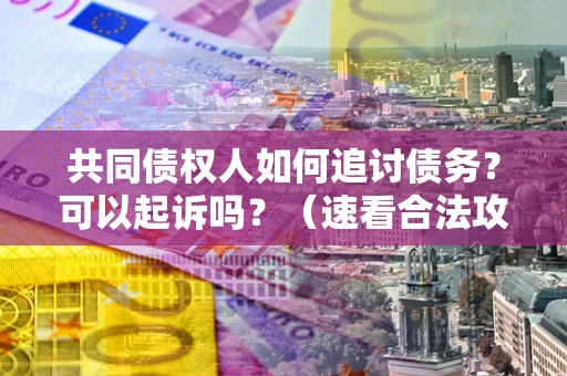 济南共同债权人如何追讨债务？可以起诉吗？（速看合法攻略）
